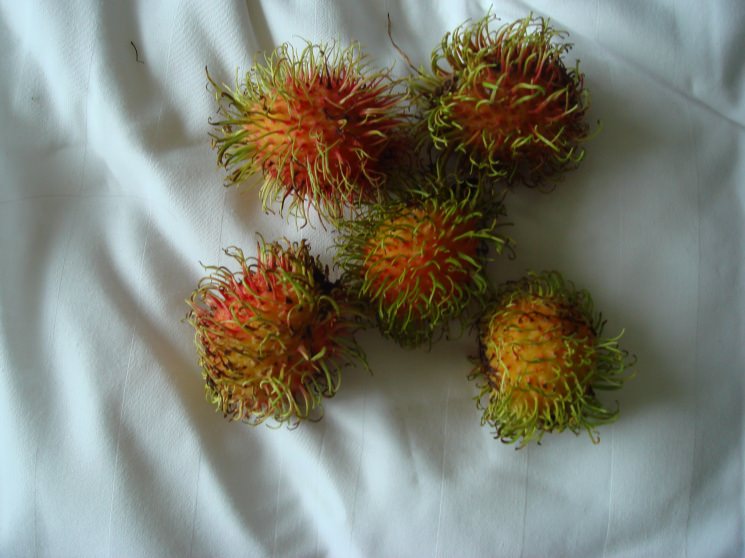 咸味的rambutans