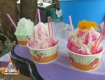 shavedice-thai-12l.jpg